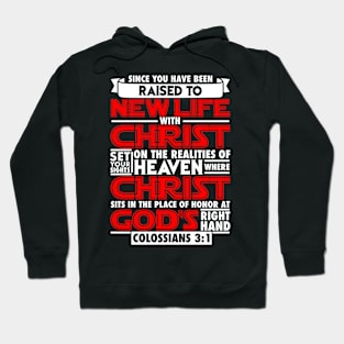 Colossians 3:1 Hoodie